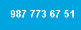 987 773 67 51 987 773 67 51